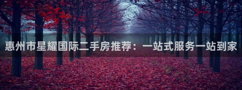苹果版门徒娱乐下载安装：惠州市星耀国际二手房推荐：一站式服务一站到家