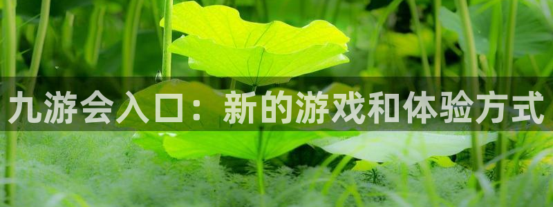 壹号下载安装：九游会入口：新的游戏和体验方式