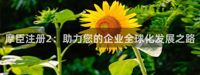 门徒娱乐注册网站：摩臣注册2：助力您的企业全球化发展之路