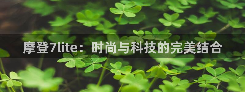 门徒娱乐在线登录：摩登7lite：时尚与科技的完美结合