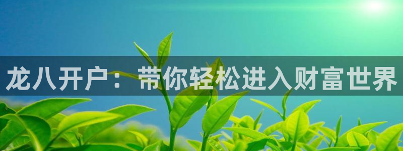 门徒娱乐：龙八开户：带你轻松进入财富世界