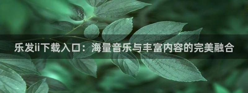 门徒娱乐,apk.：乐发ii下载入口：海量音乐与丰富内容的完美融合