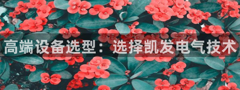 门徒娱乐app下载安装：高端设备选型：选择凯发电气技术