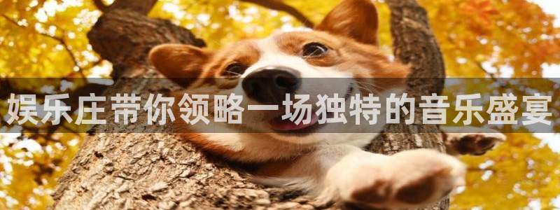 门徒娱乐入口：娱乐庄带你领略一场独特的音乐盛宴