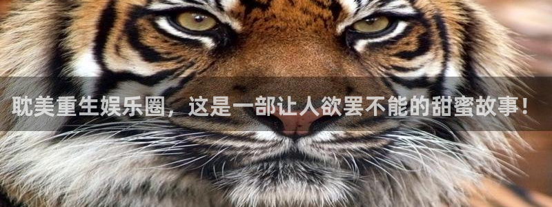 壹号下载安装：耽美重生娱乐圈，这是一部让人欲罢不能的甜蜜故事！