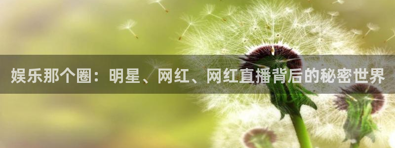 门徒娱乐app下载安装：娱乐那个圈：明星、网红、网红直播背后的秘密世界