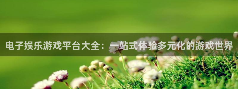 门徒娱乐：电子娱乐游戏平台大全：一站式体验多元化的游戏世界