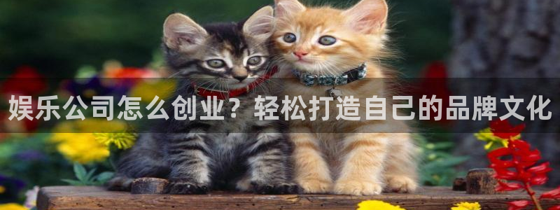 门徒娱乐平台官网入口：娱乐公司怎么创业？轻松打造自己的品牌文化