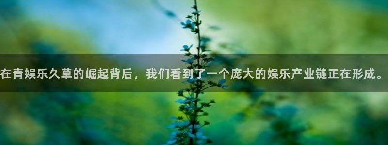 壹号国际app免费下载安装：在青娱乐久草的崛起背后，我们看到了一个庞大的娱乐产业链正在形成。