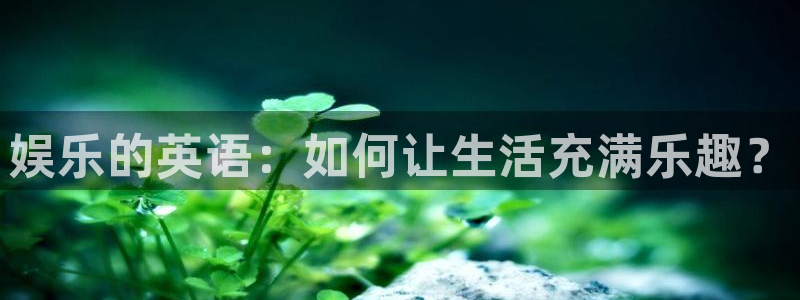 门徒平台招商：娱乐的英语：如何让生活充满乐趣？