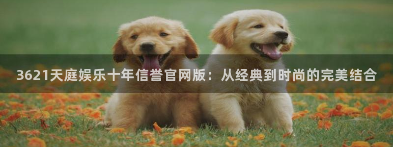 门徒平台登录不了怎么办：3621天庭娱乐十年信誉官网版：从经典到时尚的完美结合