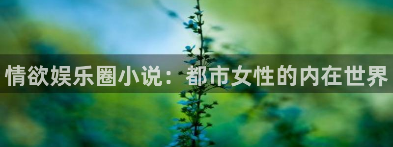 门徒娱乐 - ng大舞台,有梦你就来：情欲娱乐圈小说：都市女性的内在世界