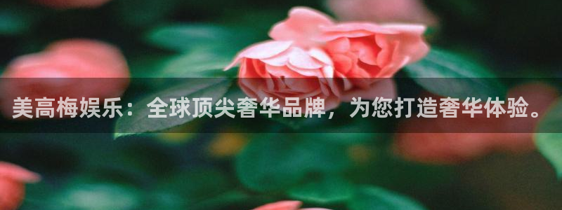 门徒娱乐游戏官网入口：美高梅娱乐：全球顶尖奢华品牌，为您打造奢华体验。