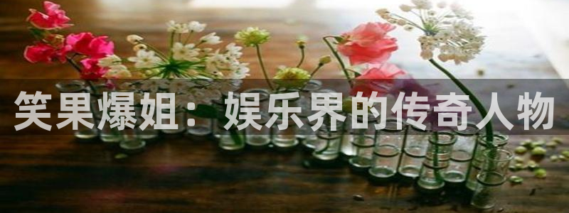 门徒娱乐那个爆率高：笑果爆姐：娱乐界的传奇人物