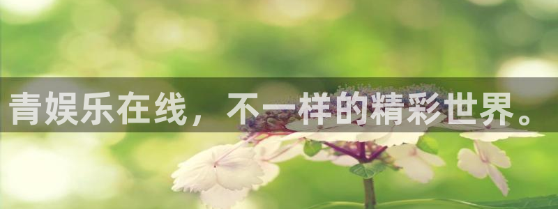 门徒娱乐赏金女王：青娱乐在线，不一样的精彩世界。