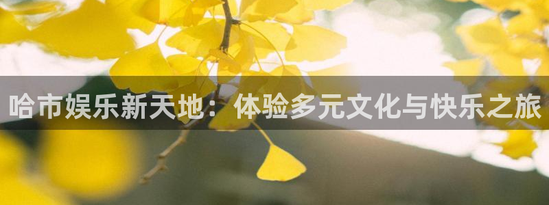 门徒娱乐电子游戏官网：哈市娱乐新天地：体验多元文化与快乐之旅