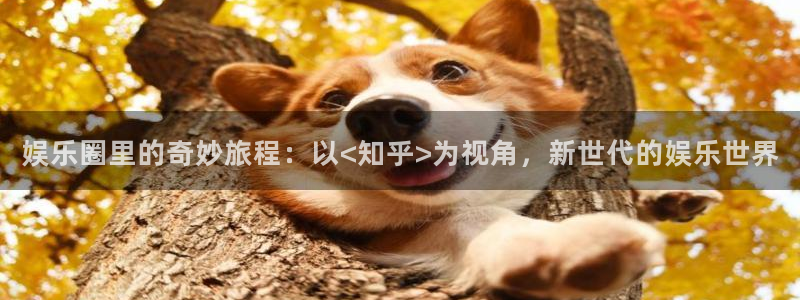 南宫门徒娱乐官网版：娱乐圈里的奇妙旅程：以<知乎>为视角，新世代的娱乐世界