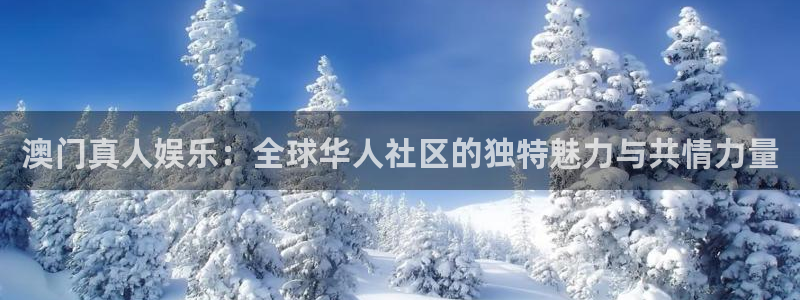 门徒娱乐下载二维码：澳门真人娱乐：全球华人社区的独特魅力与共情力量