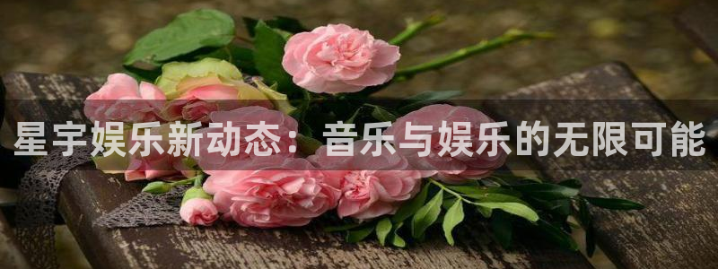 门徒娱乐app：星宇娱乐新动态：音乐与娱乐的无限可能