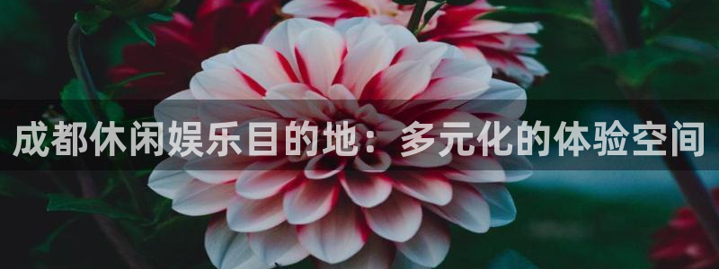 门徒平台登录地址：成都休闲娱乐目的地：多元化的体验空间