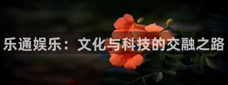 门徒娱乐那个爆率高：乐通娱乐：文化与科技的交融之路