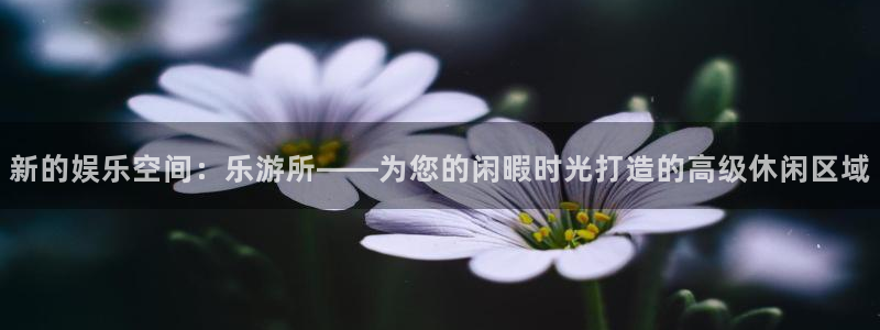 壹号官方app下载安装：新的娱乐空间：乐游所——为您的闲暇时光打造的高级休闲区域