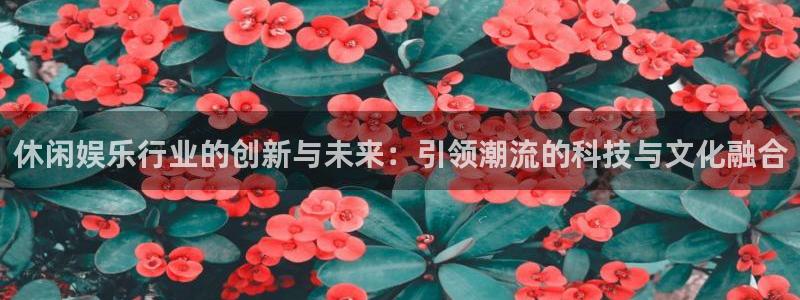 门徒娱乐(com.youad.authst)
