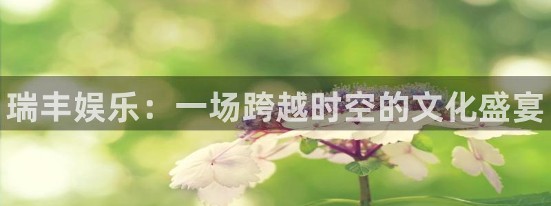 门徒娱乐平台登录入口