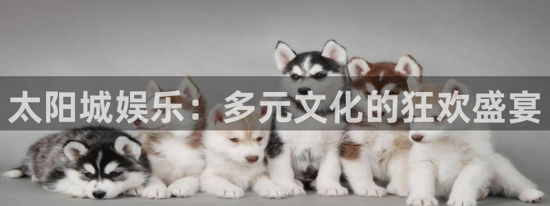 门徒娱乐大厅.马上进入网站.中国：太阳城娱乐：多元文化的狂欢盛宴