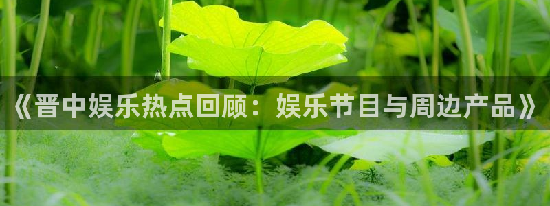 门徒娱乐爆款游戏双击玩.精彩活动网.中国：《晋中娱乐热点回顾：娱乐节目与周边产品》