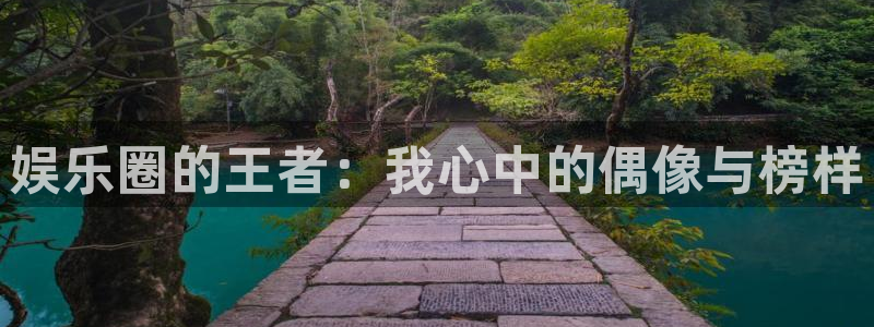 门徒平台招商：娱乐圈的王者：我心中的偶像与榜样