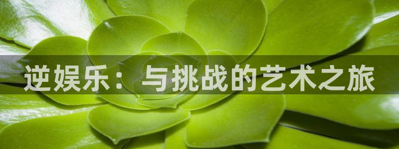 门徒娱乐.ccmpc正版官网版下载：逆娱乐：与挑战的艺术之旅