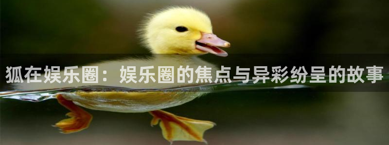 门徒娱乐在线预测：狐在娱乐圈：娱乐圈的焦点与异彩纷呈的故事
