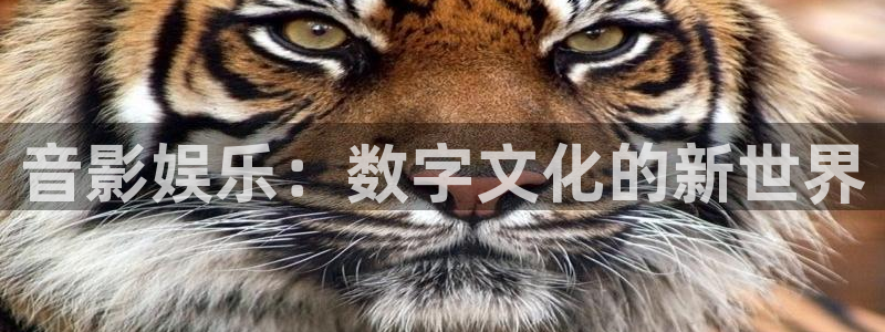 门徒娱乐平台官网版最新