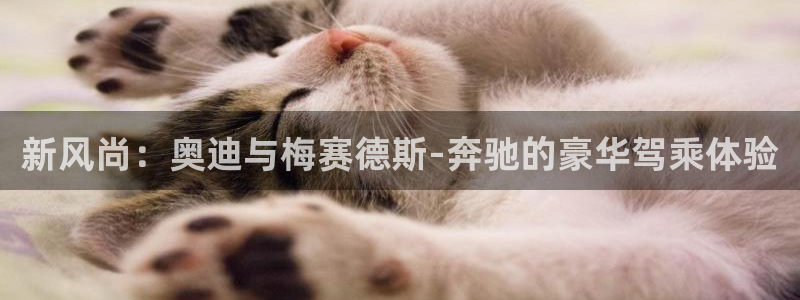 门徒娱乐路线1