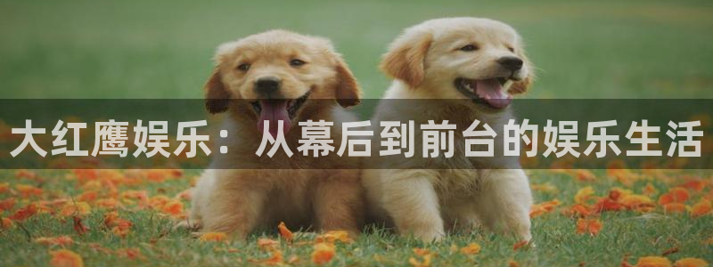 门徒娱乐官网首页：大红鹰娱乐：从幕后到前台的娱乐生活