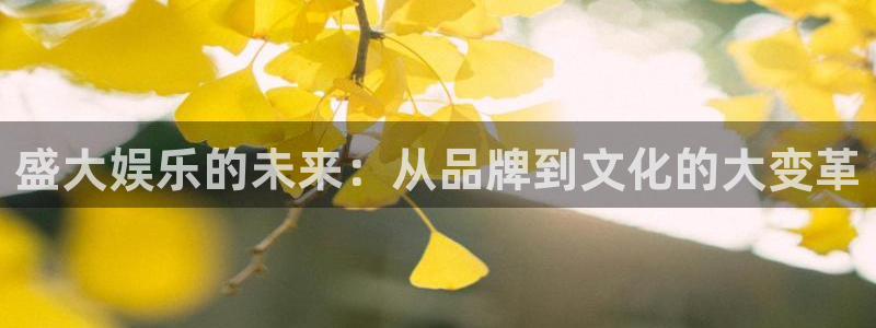 门徒娱乐是正规平台吗：盛大娱乐的未来：从品牌到文化的大变革