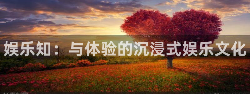 门徒娱乐的平台：娱乐知：与体验的沉浸式娱乐文化