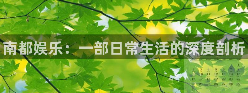 门徒平台注册登录：南都娱乐：一部日常生活的深度剖析