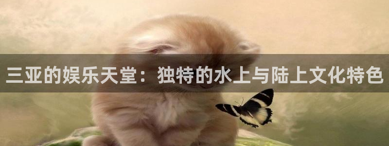 门徒娱乐大厅.马上进入网站.中国：三亚的娱乐天堂：独特的水上与陆上文化特色