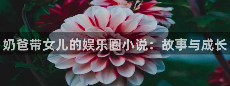 门徒娱乐平台官网登录入口：奶爸带女儿的娱乐圈小说：故事与成长
