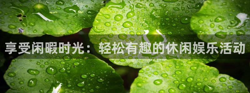 门徒娱乐强制退款流程详解：享受闲暇时光：轻松有趣的休闲娱乐活动