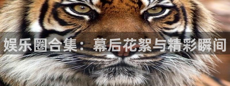 门徒娱乐官方app下载安装：娱乐圈合集：幕后花絮与精彩瞬间