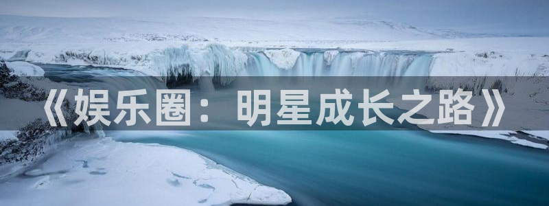 门徒娱乐app入口：《娱乐圈：明星成长之路》