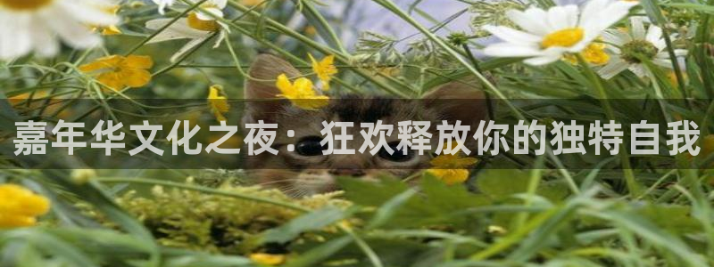门徒娱乐大厅.马上进入网站.中国：嘉年华文化之夜：狂欢释放你的独特自我